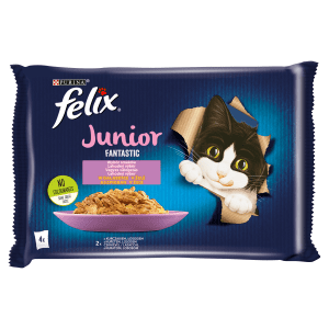 Felix Fantastic Junior karma dla kociąt w galaretce