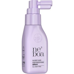 NEBOA Glossy Hair spray do włosów każdego rodzaju, wygładzający, efekt tafli wody 50 ml
